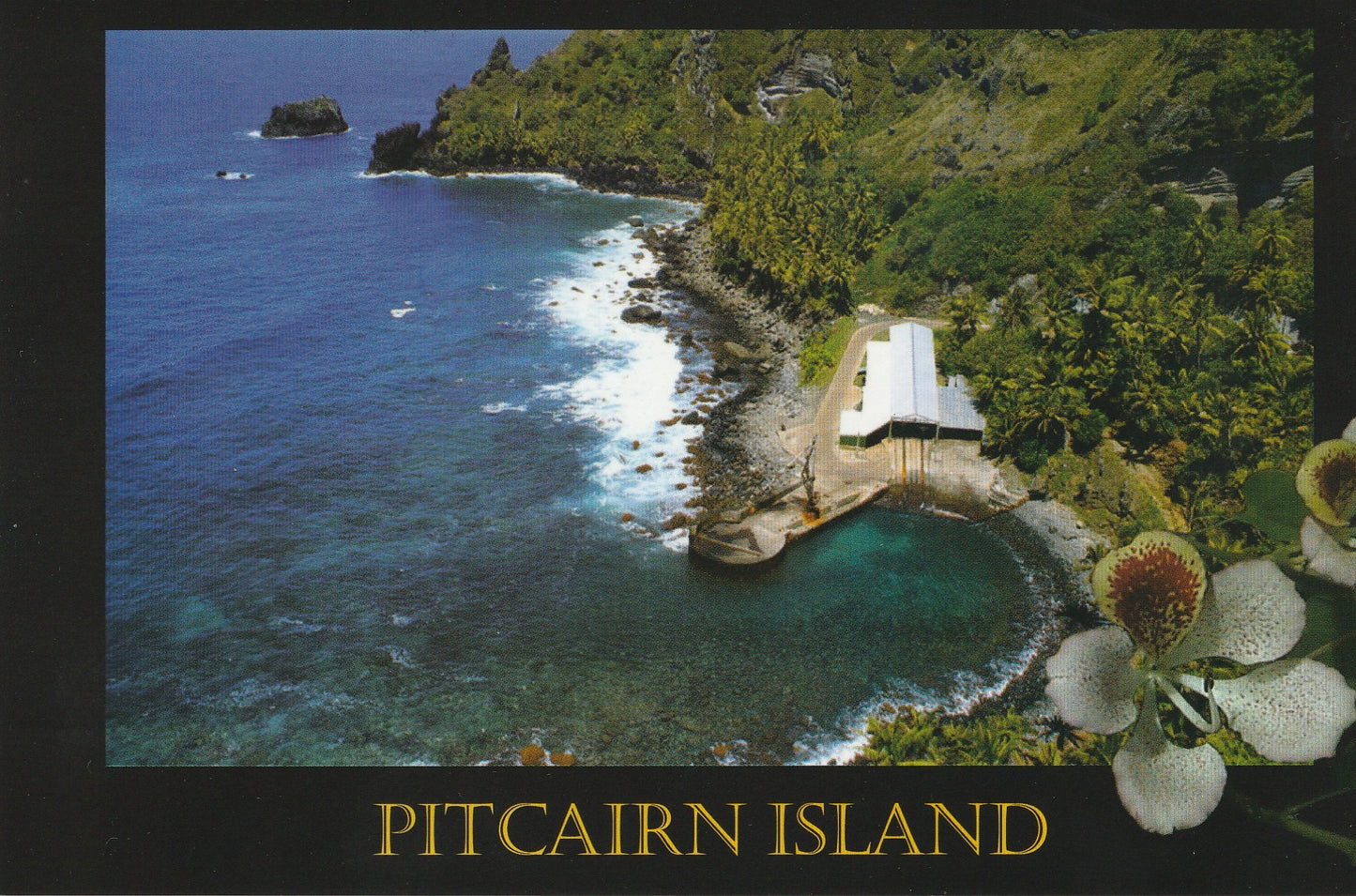 Postcard + Postage Stamp - Bounty Bay with Hattie Leaf Flower