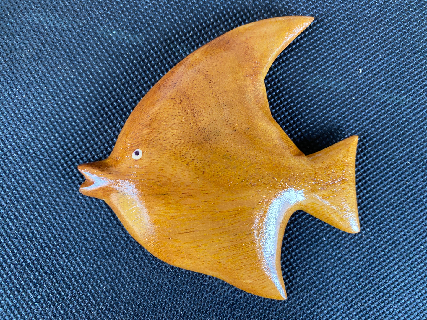 Angle Fish - Wall Hanging