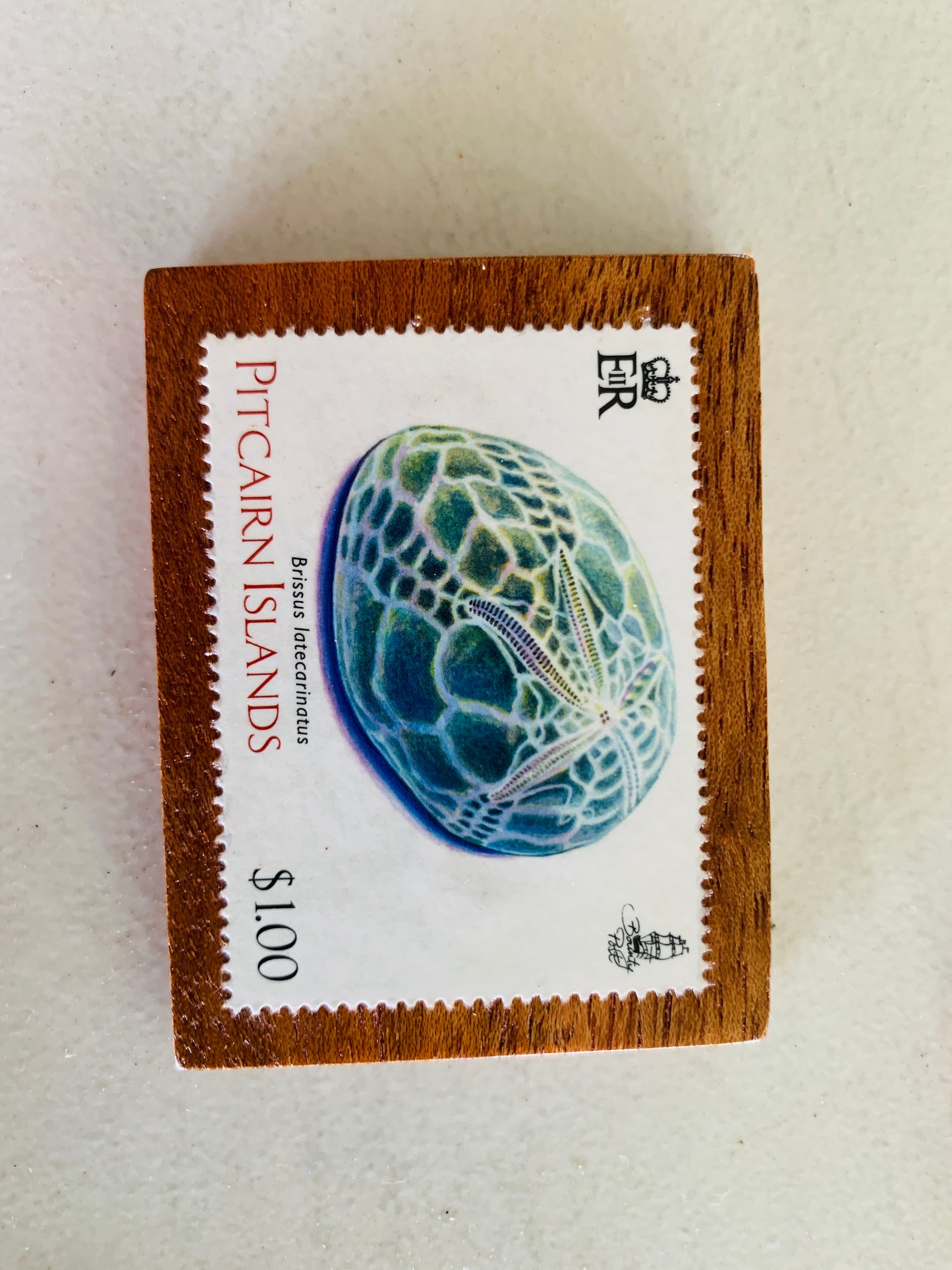 Fridge Magnets - Square with Stamp