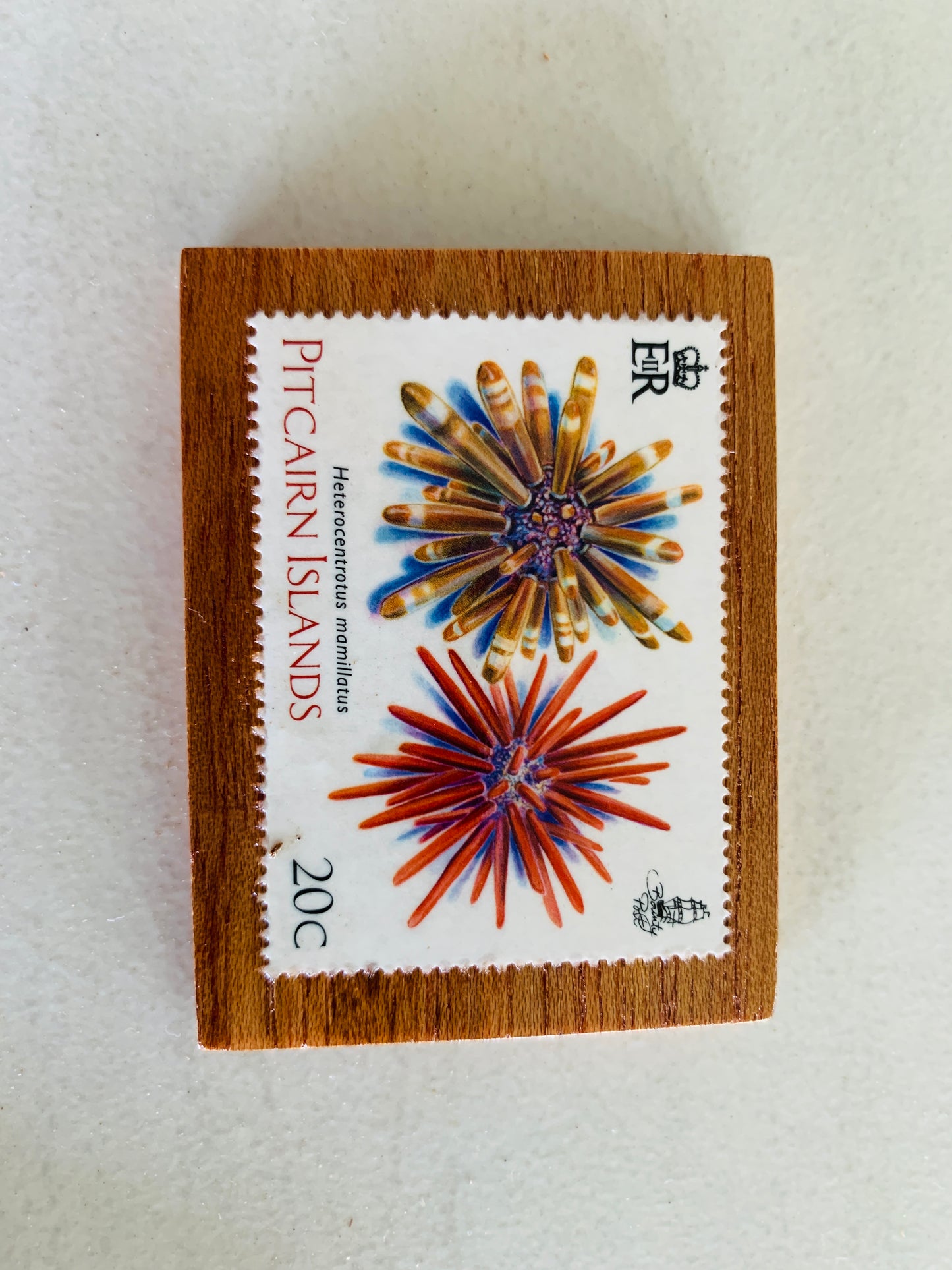 Fridge Magnets - Square with Stamp